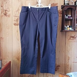 Lands End Ankle Navy Chino Pants Size 16